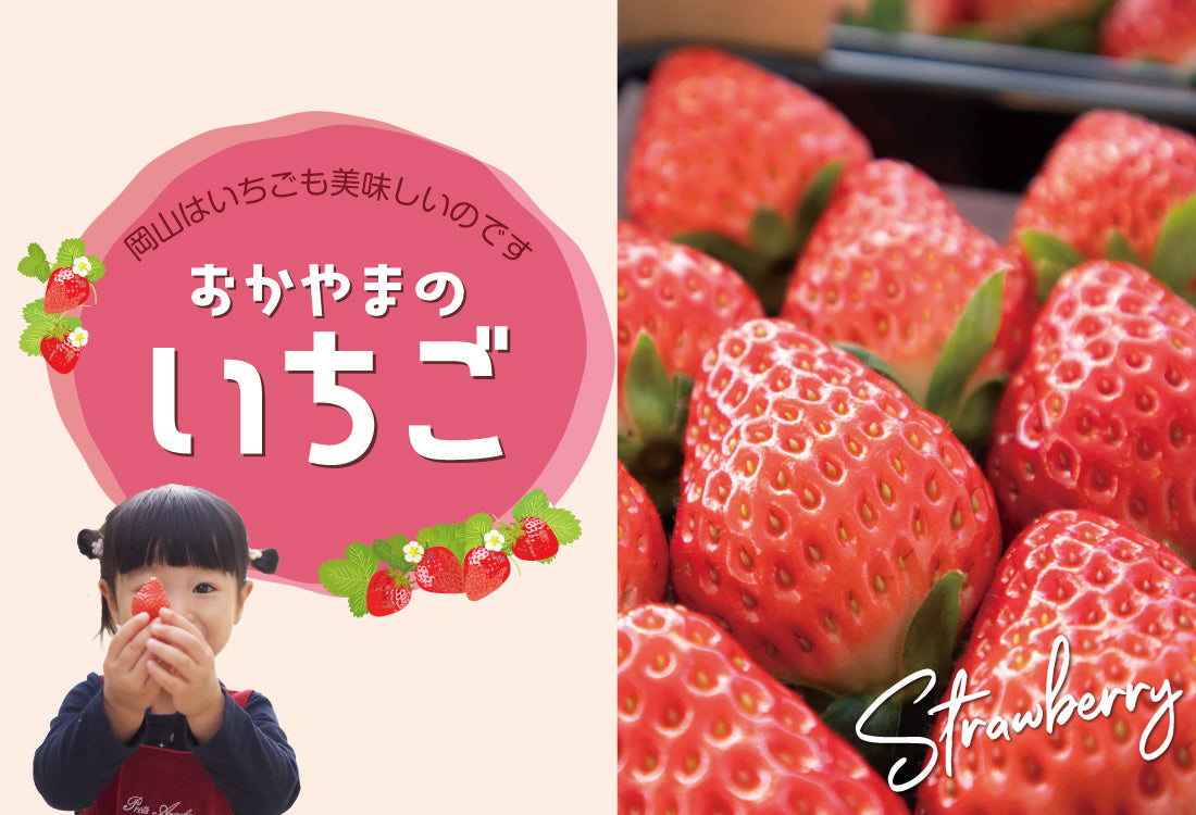 冷凍苺　８Kg 送料込　岡山産 福岡スイーツ自然の贈り物】かわいい化粧箱入り！福岡県産冷凍あまおう