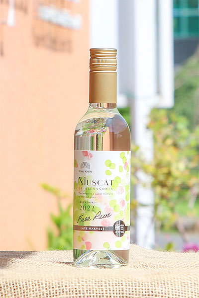 ふなおワイナリー】マスカット・オブ・アレキサンドリア（375ml×1本