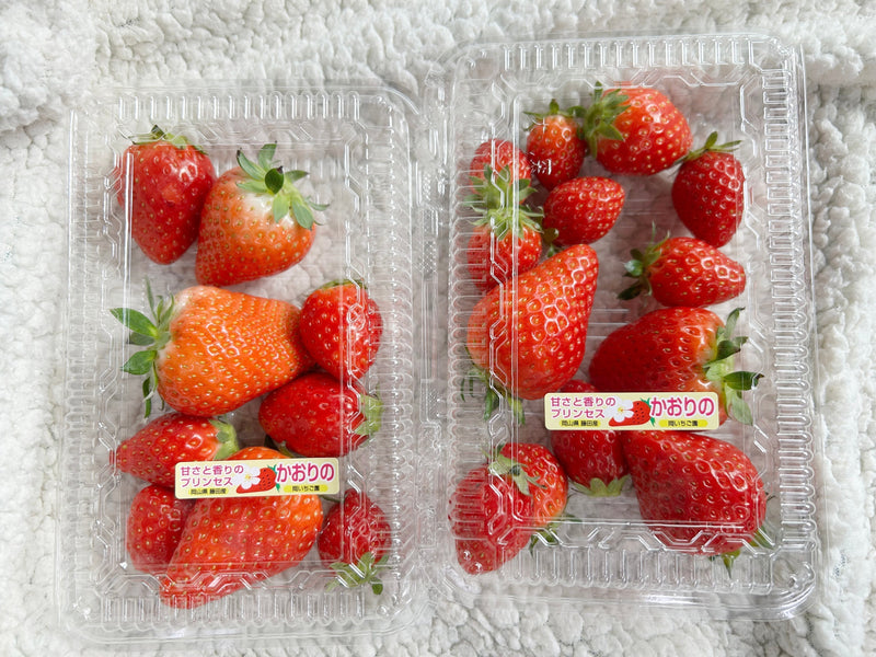 岡いちご園さんのいちご