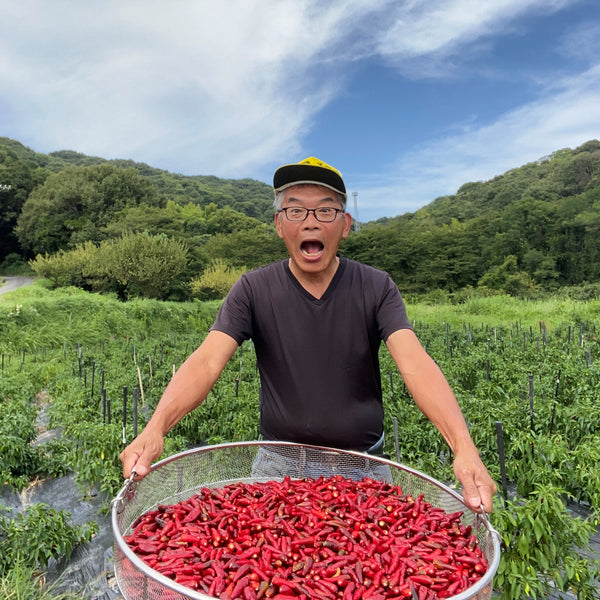 唐辛子の香合 4e4c4741394f3ce730edee3ff66071