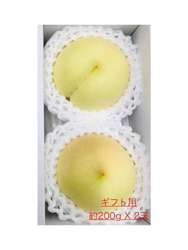 冬桃（平均糖度16度以上）【予約注文：発送は2025年11月中旬～順次／販売期間：2025年5月1日11時～10月下旬ごろまで ※売り切れ次第終了】