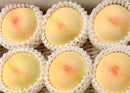 ご家庭用 岡山の白桃【後半】 約1.4㎏箱（4～6玉）※クール便【予約注文：発送は2026年8月中旬～2026年9月中旬／販売期間：2026年5月1日11時～7月上旬ごろまでの予定 ※売り切れ次第終了】