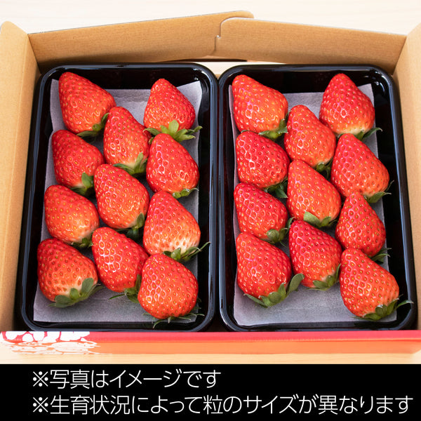 美作農園】美作苺2パック詰合せ ※クール便 _おかチョク