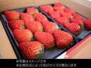 美作苺2パック詰合せ ※クール便