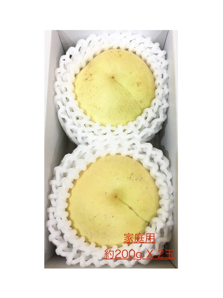 冬桃（平均糖度16度以上）【予約注文：発送は2025年11月中旬～順次／販売期間：2025年5月1日11時～10月下旬ごろまで ※売り切れ次第終了】