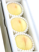 清水白桃 ギフト用