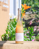 【ふなおワイナリー】白桃ネクター（500ml×1本・化粧箱入り）※6月中旬~9月発送分はクール便