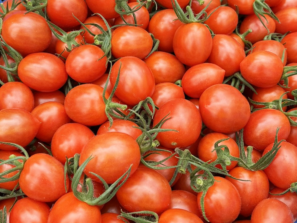 せとうち農園】トマト果汁（せとうちルビー）3本セット《720ml×3本》 _