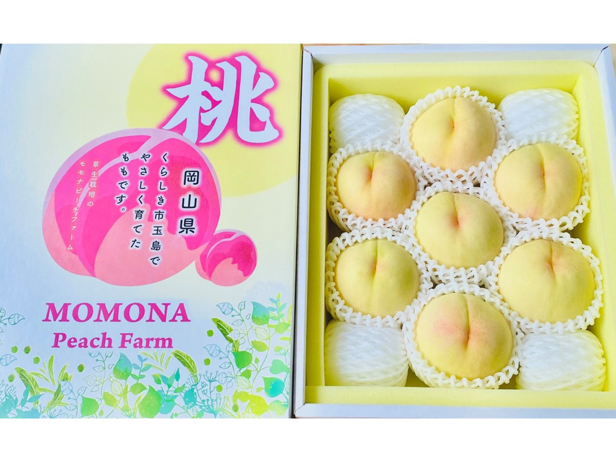 白桃 PP4_e6a034f2-3a63-48a4-8e65-