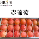 月見農園 赤葡萄（粒売り・18粒入り）【予約注文：2023年10月～順次発送】