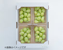 農薬節減 シャインマスカット（粒タイプ・270g×4パック ） ★正金農園より順次直送★ 【予約注文：2026年8月下旬ごろ～順次発送予定／販売期間：～9月中旬ごろを予定】※クール便