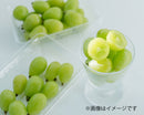 農薬節減 シャインマスカット（粒タイプ・270g×2パック ） ★正金農園より順次直送★ 【予約注文：2026年8月下旬ごろ～順次発送予定／販売期間：～9月中旬ごろを予定】※クール便