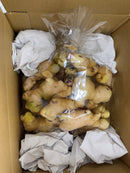 新しょうが（1㎏）