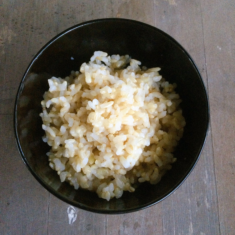 アヒルのお米（2㎏入り×2袋）【※白米と玄米からお選びいただけます。】【予約注文：発送は2021年11月下旬〜】