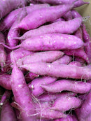 サツマイモ　紅おとめ