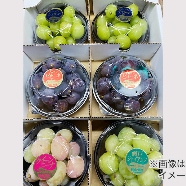 旧アジア　因果切断　レリーフ　1st edition 3枚セット 旧アジア 因果切断 レリーフ 1st edition 3枚セット - メルカリ