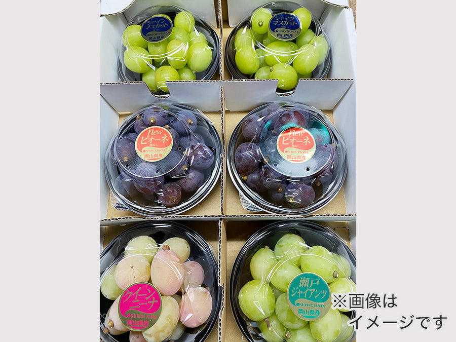 マスカット2500mlセット 白鶴 ぷるぷるマスカット 190ml×6本<化粧箱入> – 白鶴オンライン