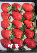 晴苺　いちごギフト