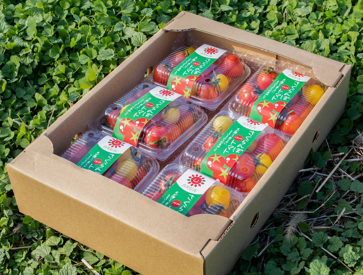 1_df8942a9-835e-4a84-a4e6-