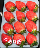 かおり野　いちごギフト