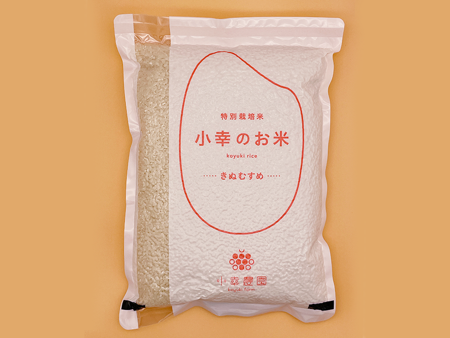 1b883f32333406dfb46c60cdff62ee