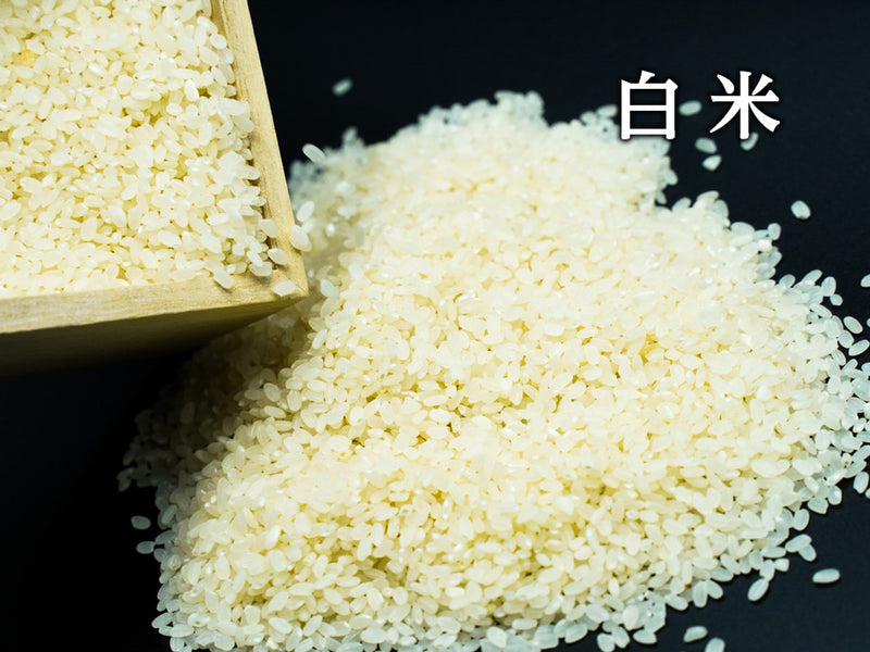 アヒルのお米（450g入り×2個）【※白米と玄米からお選びいただけます。】