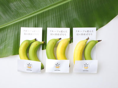 2_3_2_400x.jpg?v=1643868794