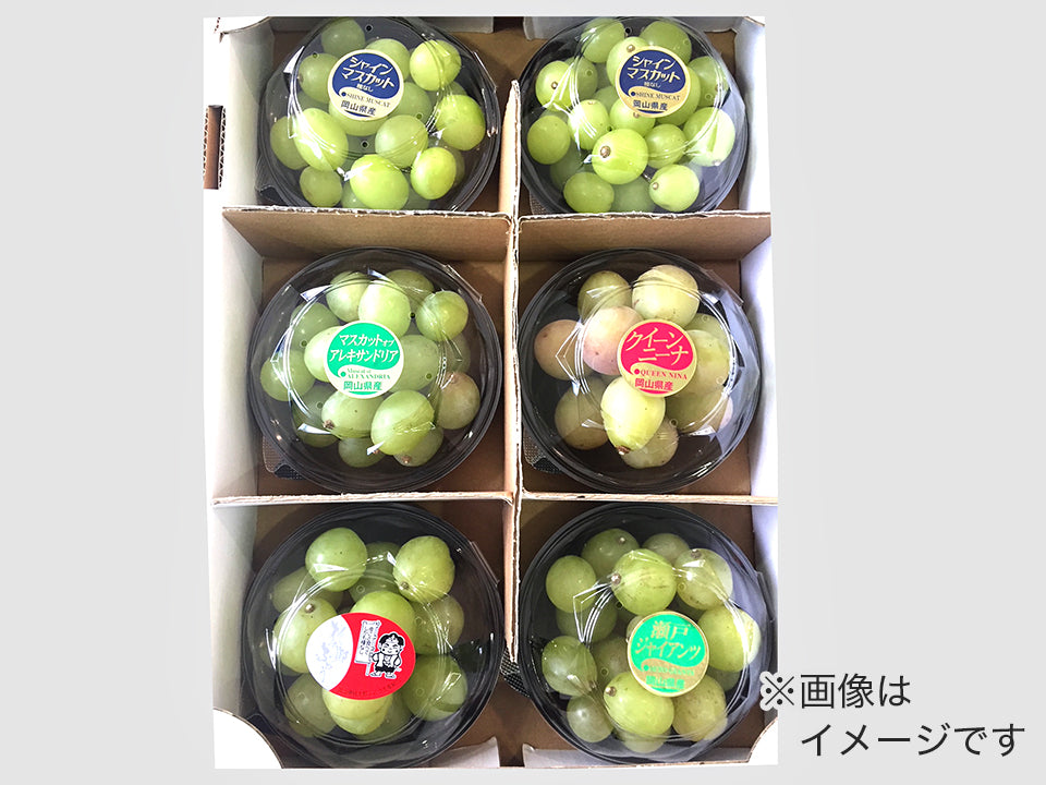 8月26日発送限定！岡山のぶどう食べくらべ　果物