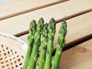 春のアスパラガス