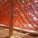 最上干柿2Lサイズ以上木箱入り（20～25個入り・1,100g）【予約注文：発送は2025年12月中旬～／販売期間：～12月1日9時まで ※売り切れ次第終了】※沖縄県への発送のみクール便