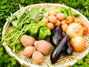 いのち育む野菜と自然卵セット