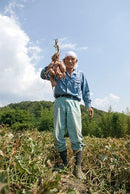 冷やし焼き芋【ひゃっこいも（2袋あわせて1kg）】※クール便（冷凍）