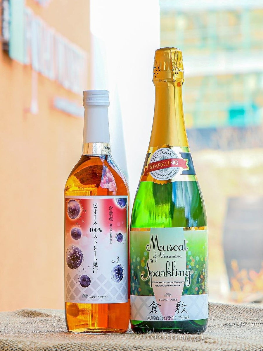 9_100_900x.jpg?v=1678684299