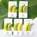 ギフトBOX　皮ごと食べられるバナナ　瀬戸内ばなな