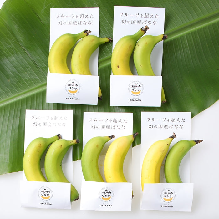 プランターファーム】《ギフトBOX入り》皮ごと食べられるバナナ