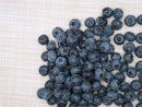 ブルーベリー生果　加工用
