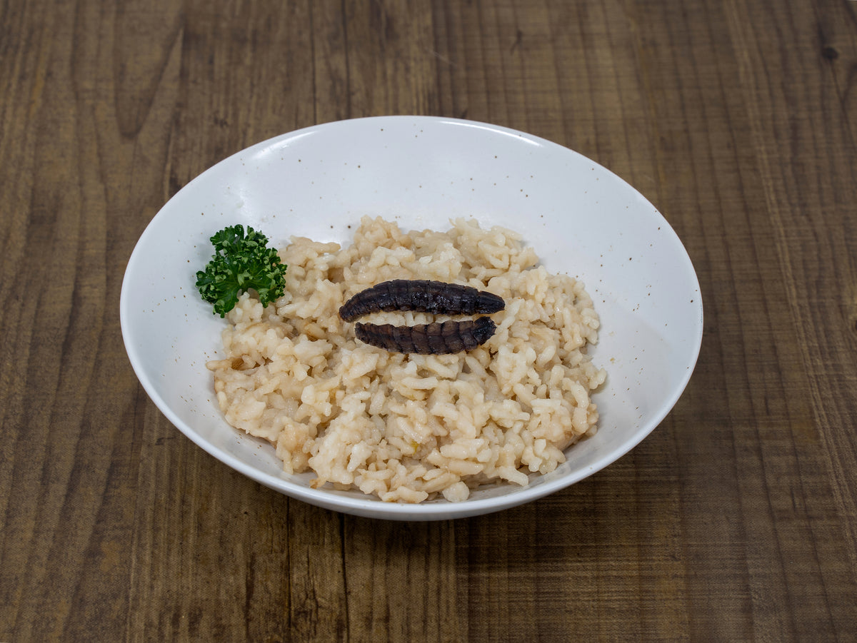 DSC02582_1200x.jpg?v=1674200148