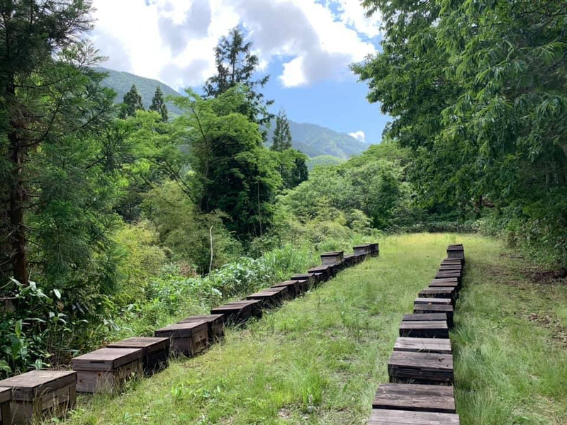 美甘養蜂園